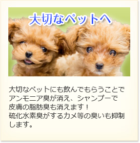 大切なペットにも飲んでもらうことでアンモニア臭が消え、シャンプーで皮膚の脂肪臭も消えます!硫化水素臭がするカメ等の臭いも抑制します。
