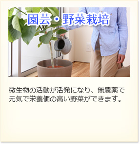 園芸・野菜栽培 微生物の活動が活発になり、無農薬で元気で栄養価の高い野菜ができます。